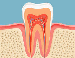 Skyline Dental